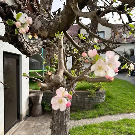 Apartmán Haus Gruber - Valentina & Gabriel In Der Waldheimat