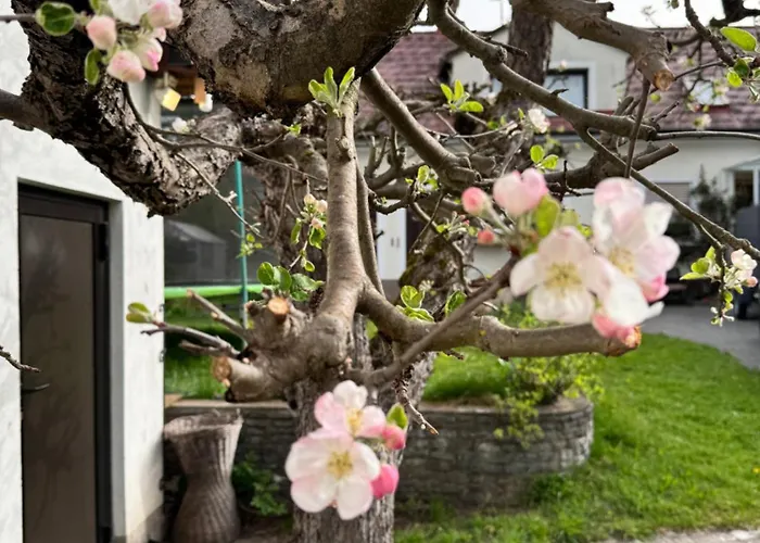 شقة Haus Gruber - Valentina & Gabriel In Der Waldheimat