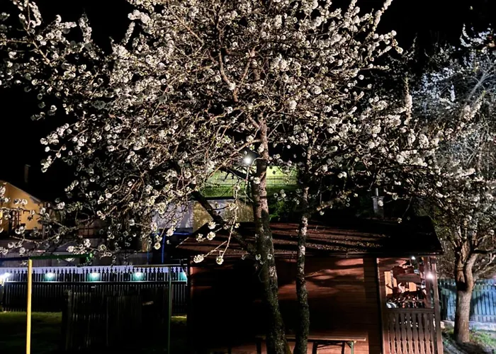 Haus Gruber - Valentina & Gabriel In Der Waldheimat شقة